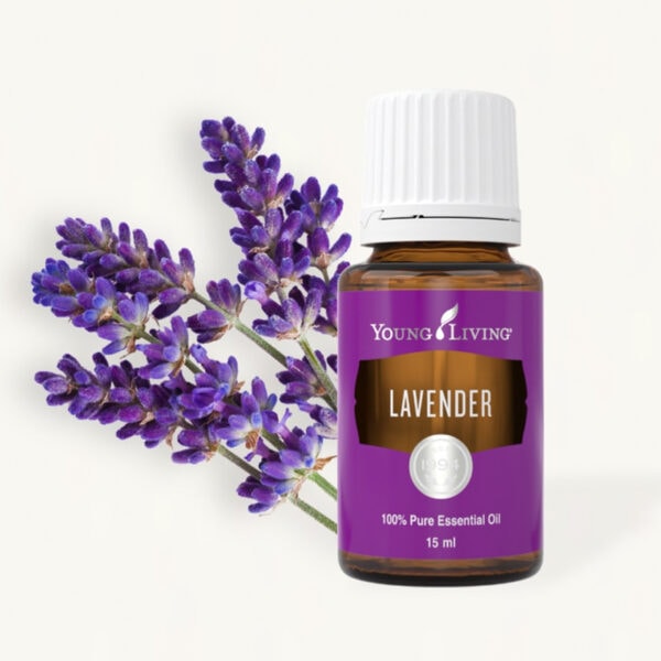 Lavender (olejek lawendowy) 15 ml - obrazek 2